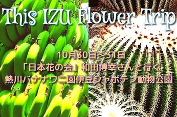 １０月３０＋３１日 This IZU.Flower Trip 〜