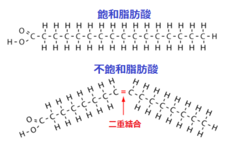 第一回 脂質が大事