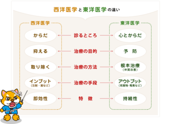 第十一回 東洋の医学の考え方