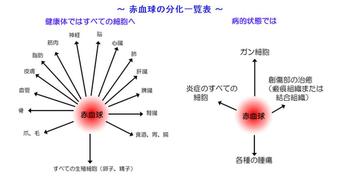 第十四回 大切なのは病気を治すことではなく、自分自身の生活を治すことだ