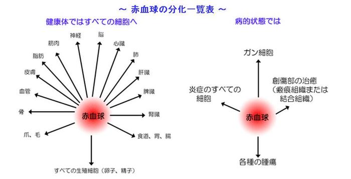 千島学説.jpg