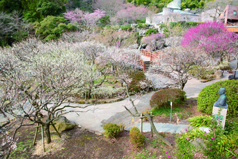 花と熱海と大塚実その１