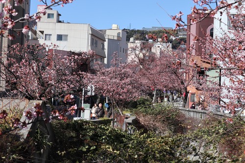 熱海市糸川遊歩道（180125）.JPG