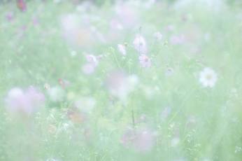 雨を聴く