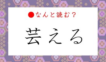 世界を沸かす、お茶目でピースフルな日本人たち〜：）