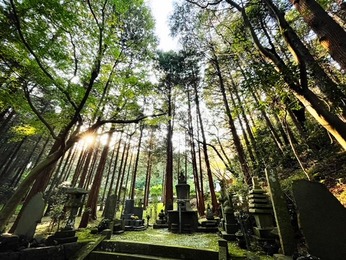 三島龍澤寺〜山本玄峰老師と田中清玄氏