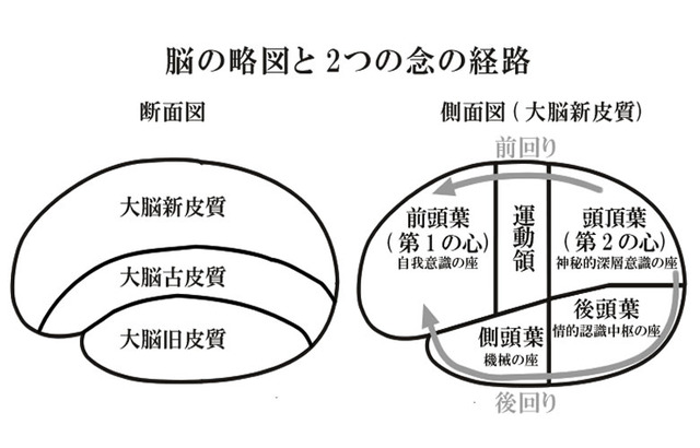 nou-kouzou.jpg