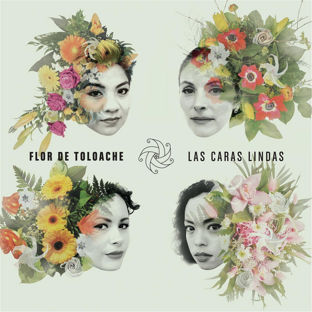 メキシコの伝統音楽を奏でる『フロール・デ・トロアチェ』〜メキシコの媚薬に使われる花の名前を持つ女性マリアッチバンド