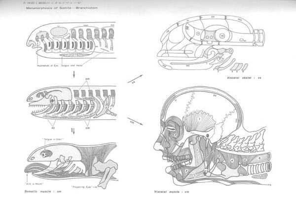 o0700046514829435998.jpg