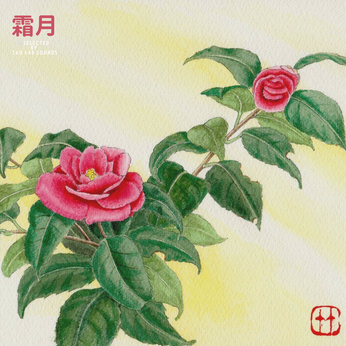 TAO LAB SOUNDS 11月のプレイリスト 『霜月』