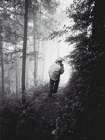 『四国88ヵ所歩き遍路の記』ちょうど30年前、1995年3月3日