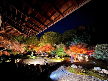 京都　黒谷金戒光明寺 × 会津藩 × 新選組　紅葉ライトアップ