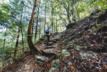 『四国88ヵ所歩き遍路の記 vol.3』前半、ちょうど半分は地獄だった...その「始まり」12番・焼山寺