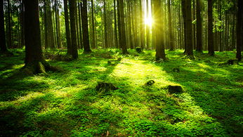 【３】 自然科学 (〝生命〟の疑問には沈黙）