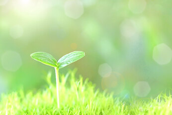 【２５】人格の形成　(小学校で大切な歴史教育)