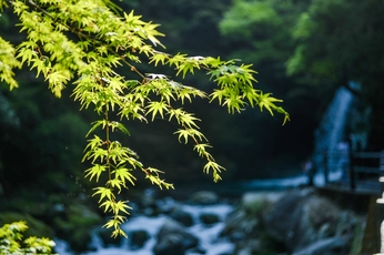 第16集：「涼を求めるなら、滝！」