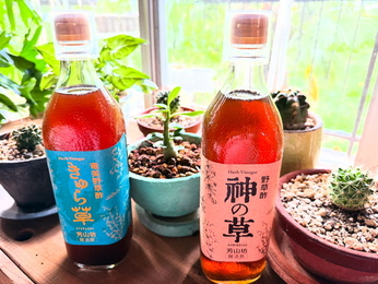 ジネン大宇宙...野草はいのちのしずく...「体は自分で自分を治すよ」〜  芳山坊の野草酢、カラダ小宇宙に取り入れ始めました。