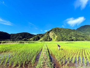 田んぼの草刈り、始まる季節です