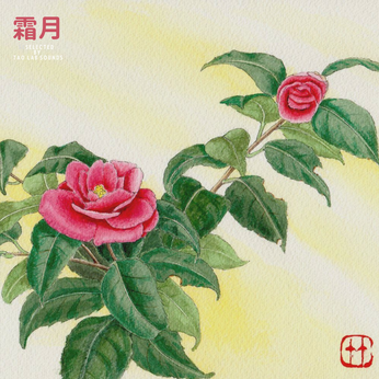 TAO LAB SOUNDS 11月のプレイリスト 『霜月』