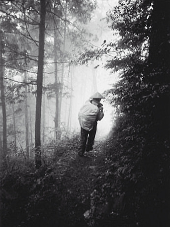 『四国88ヵ所歩き遍路の記 vol.1』ちょうど30年前、1995年3月3日