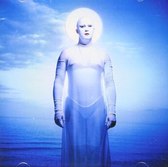 ANTONY AND THE JOHNSONSの2nd『I Am a Bird Now』魂の揺らぎと変容を静かに見つめる詩集。