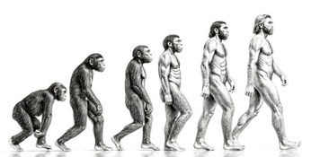 二本足歩行の生き物「ヒト」〜 3冊から導く「健美の歩き方」